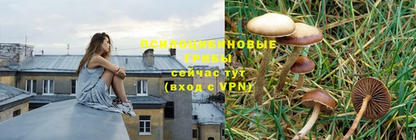 герыч Алексеевка