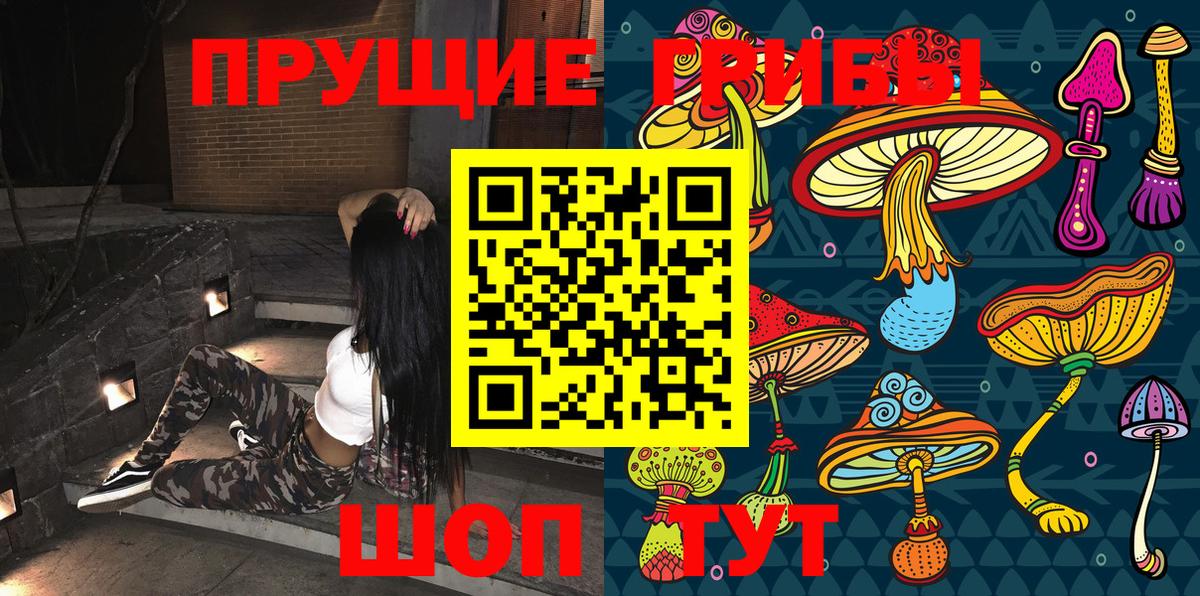 Псилоцибиновые грибы MAGIC MUSHROOMS Топки