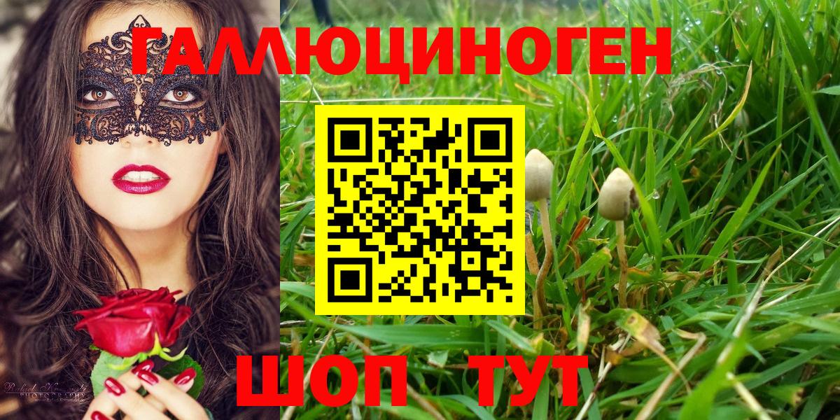 Галлюциногенные грибы ЛСД  закладка  Топки  Вход с VPN 
